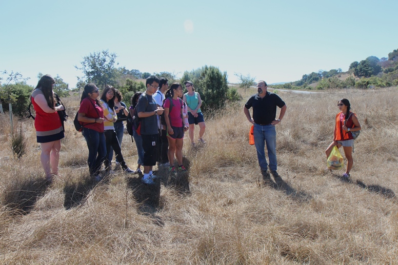 the 
stanford safari